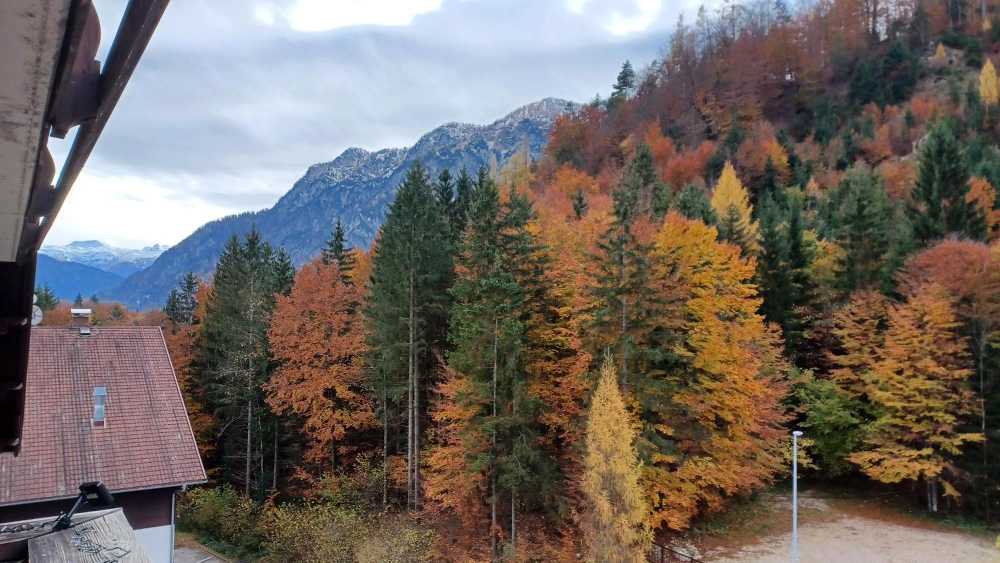 Dachstein View Lejlighed Bad Goisern Eksteriør billede